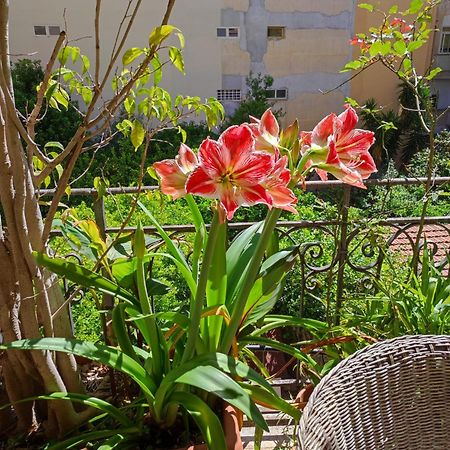 Cuba'S Art House Apartment Палермо Екстериор снимка