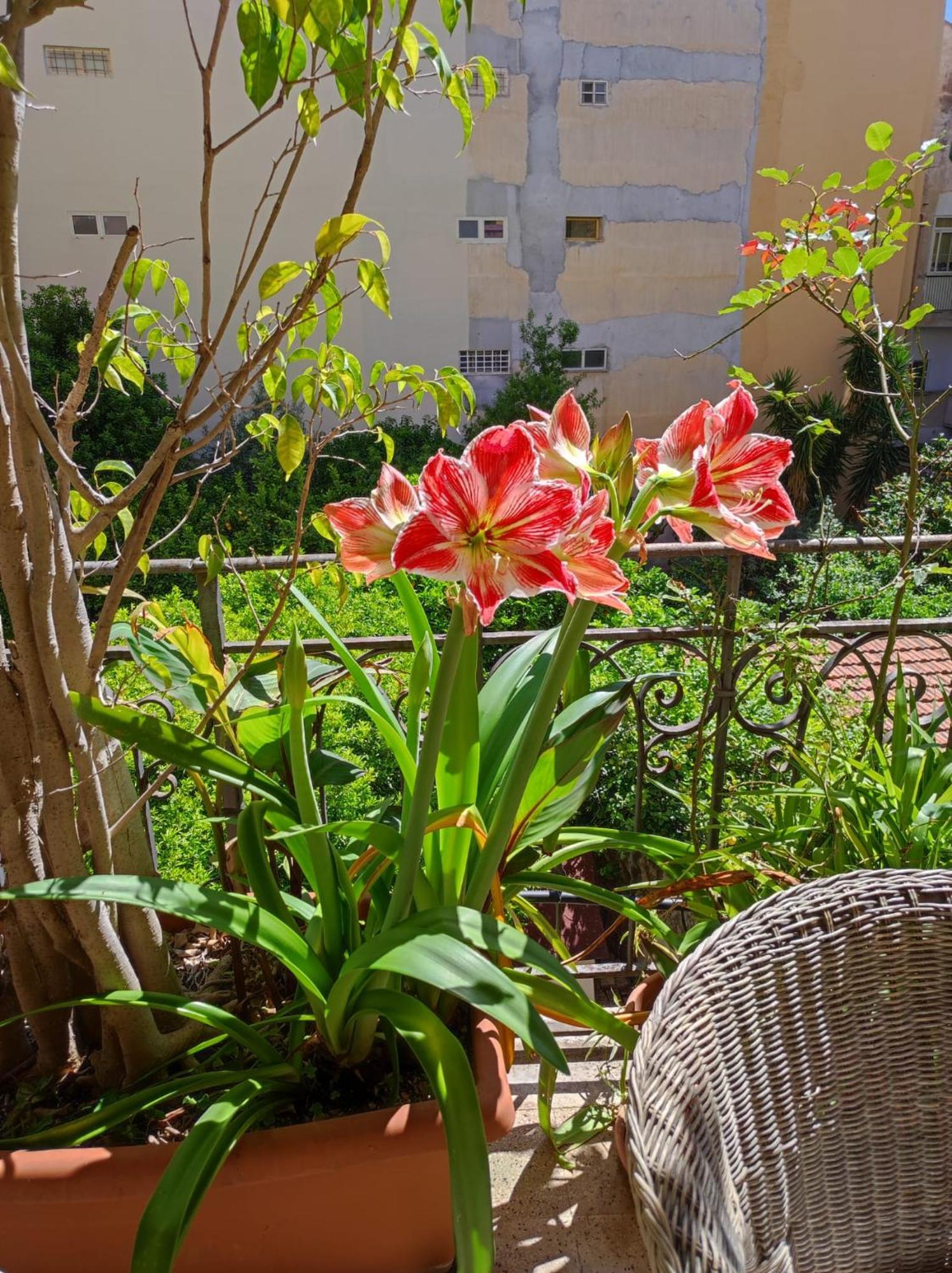 Cuba'S Art House Apartment Палермо Екстериор снимка